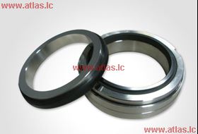 EagleBurgmann Type H10 O-ring Mechanical Seal